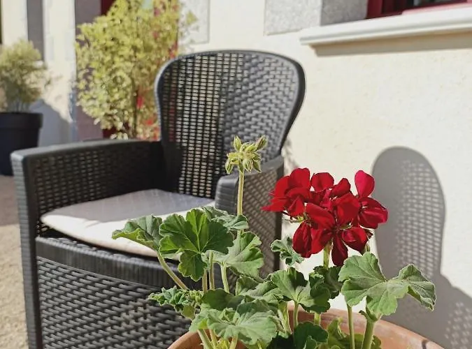 Atypique De Vendee 10mn Puy Dufou *