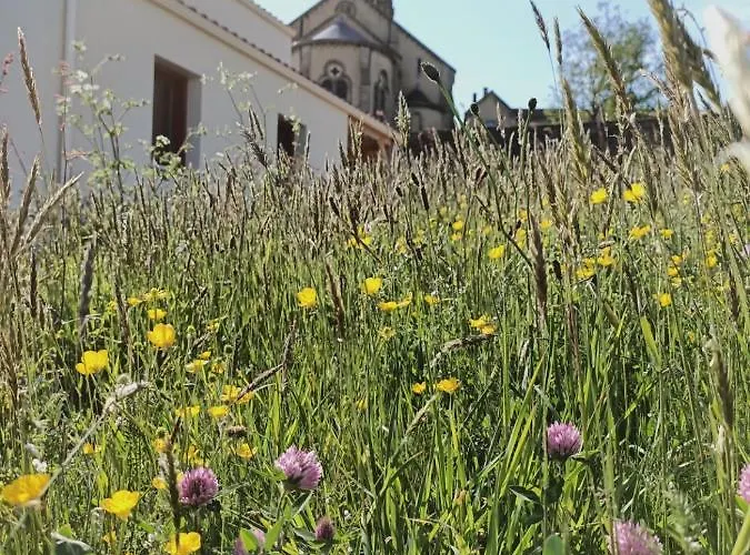 بيت للعطل Atypique De Vendee 10mn Puy Dufou *